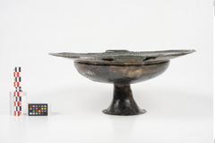 Foto von Bronzebreitrandfußschale (NHMW-PRAE-025182)